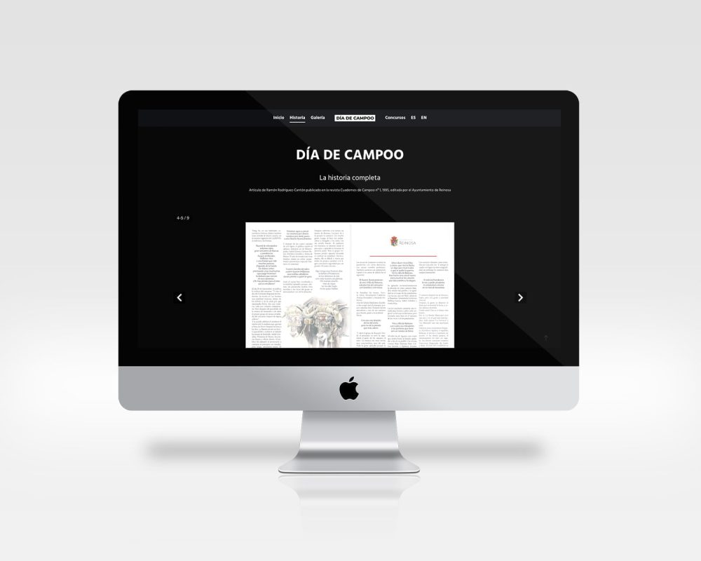 diseño web dia de campoo