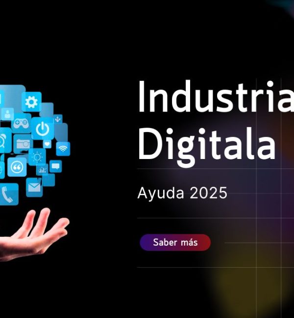 ayuda industria digitala laguntza