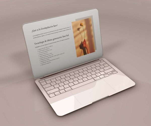 diaz borragan diseño web