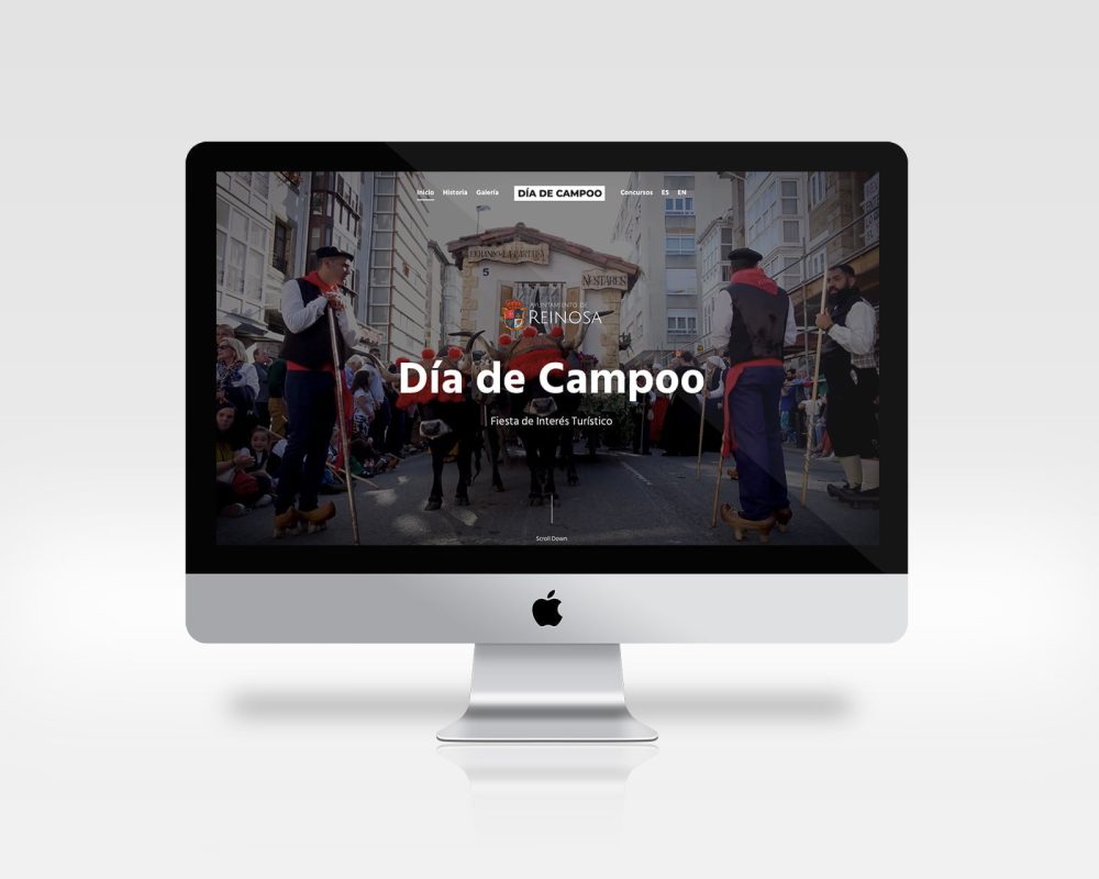 diseño web dia de campoo