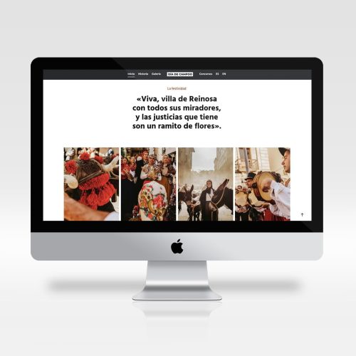 diseño web dia de campoo