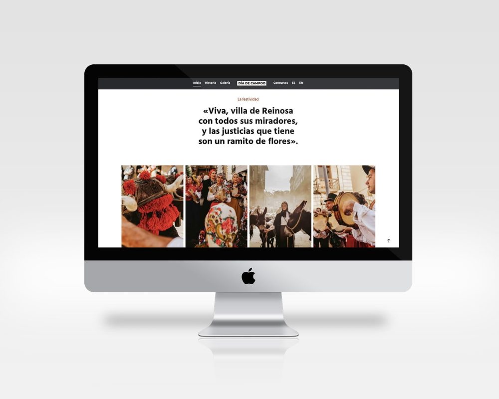 diseño web dia de campoo