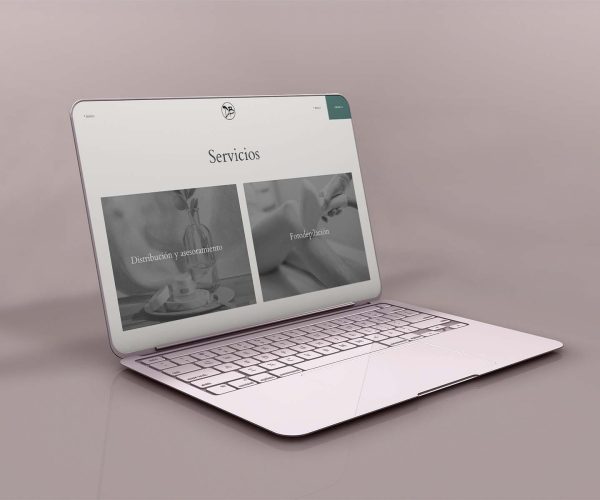 diaz borragan diseño web