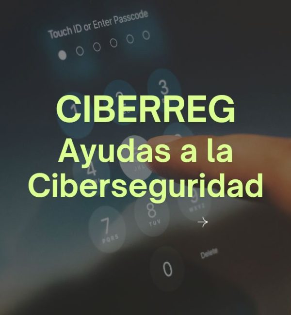 subvención ciberreg